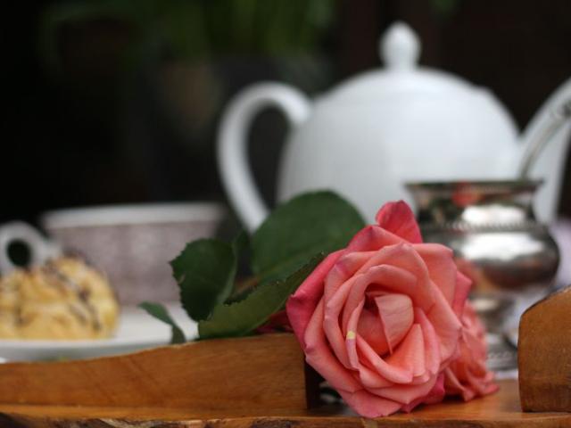 Feathers Guest House