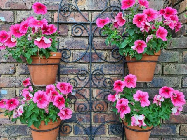 Feathers Guest House