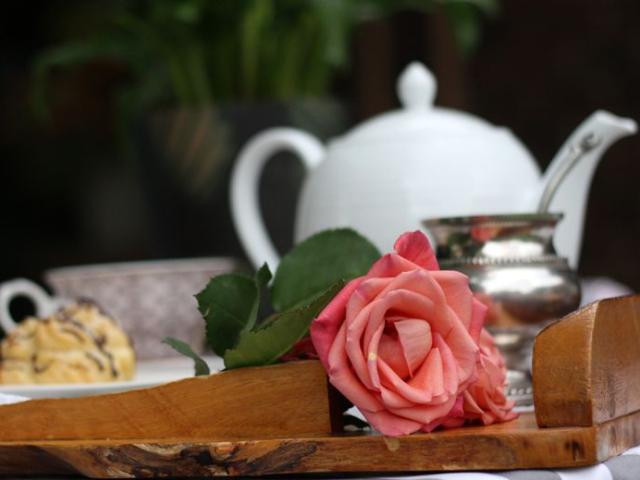 Feathers Guest House