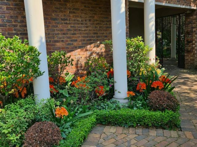 Feathers Guest House