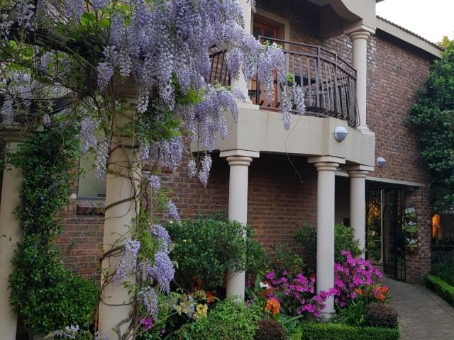 Feathers Guest House