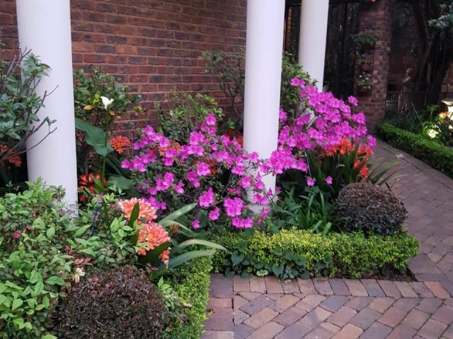 Feathers Guest House