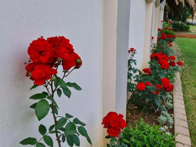 Feathers Guest House