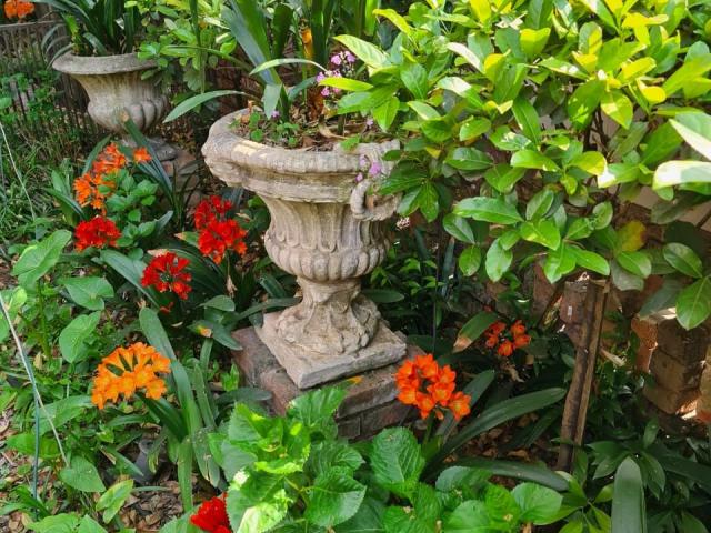 Feathers Guest House